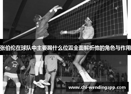 张伯伦在球队中主要踢什么位置全面解析他的角色与作用