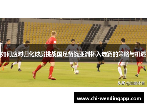 如何应对归化球员挑战国足备战亚洲杯入选赛的策略与机遇