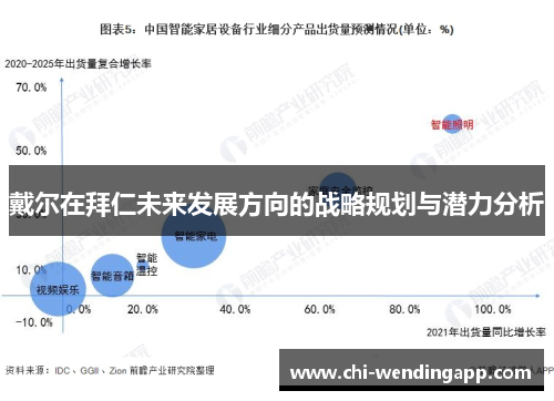 戴尔在拜仁未来发展方向的战略规划与潜力分析