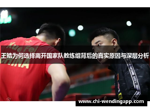 王皓为何选择离开国家队教练组背后的真实原因与深层分析 王皓为何选择离开国家队教练组背后的真实原因与深层分析