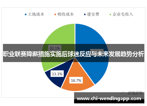 职业联赛降薪措施实施后球迷反应与未来发展趋势分析 职业联赛降薪措施实施后球迷反应与未来发展趋势分析