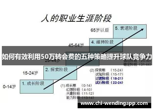 如何有效利用50万转会费的五种策略提升球队竞争力