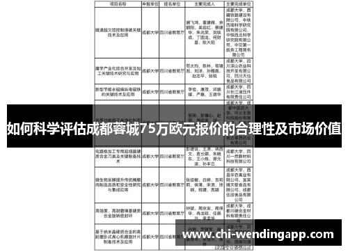 如何科学评估成都蓉城75万欧元报价的合理性及市场价值 如何科学评估成都蓉城75万欧元报价的合理性及市场价值
