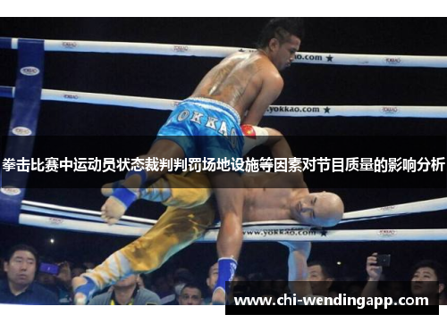拳击比赛中运动员状态裁判判罚场地设施等因素对节目质量的影响分析 拳击比赛中运动员状态裁判判罚场地设施等因素对节目质量的影响分析