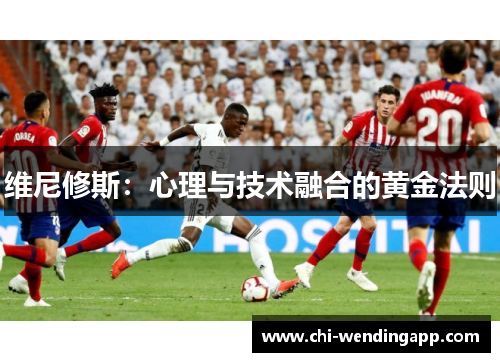 维尼修斯：心理与技术融合的黄金法则